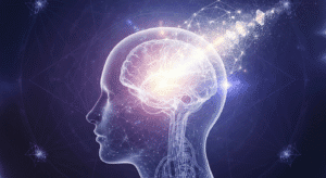 How Intuition Shapes Human Consciousness and Meaning