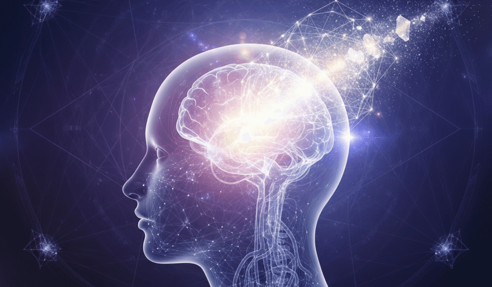 How Intuition Shapes Human Consciousness and Meaning